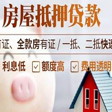 临泉贷款助贷公司新渝启服成立时间久